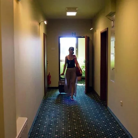 Air Hotel